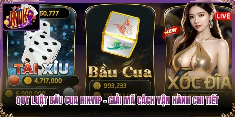 Quy Luật Bầu Cua Rikvip – Giải Mã Cách Vận Hành Chi Tiết